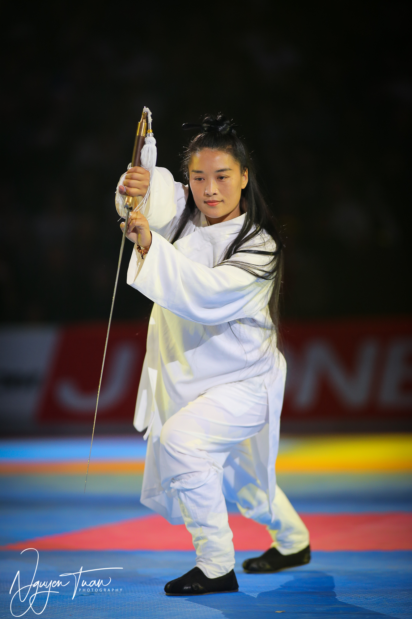 20190324 Festival des Arts Martiaux 2395